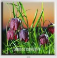 /album/photo-gallery-canvas-uri/decoratiuni-de-perete-canvas-lc-1031-jpg/